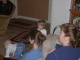 Thumbs/tn_03110054.jpg