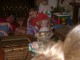 Thumbs/tn_03110079.jpg